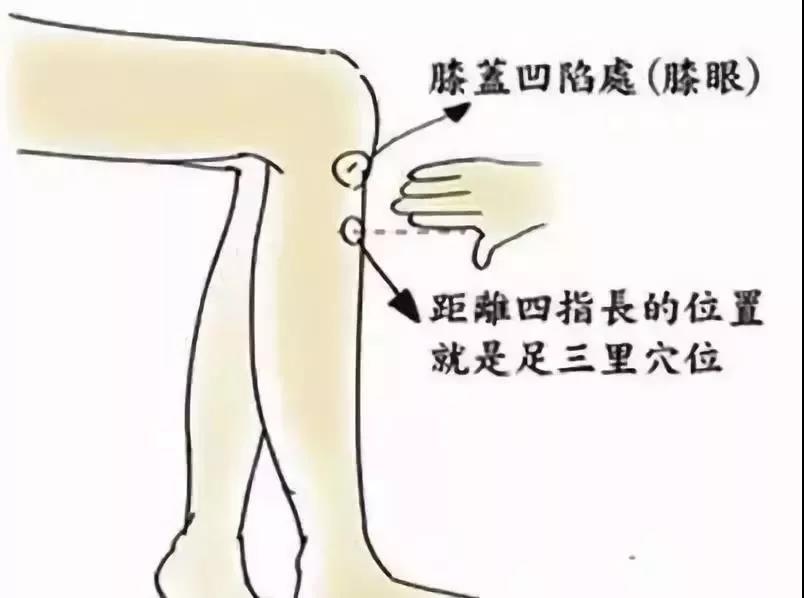 ڲ|θʹƷ